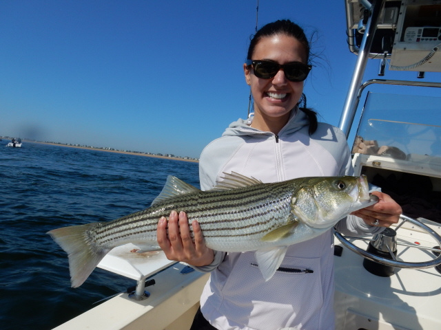 Laura strikes again on the Merrimack River